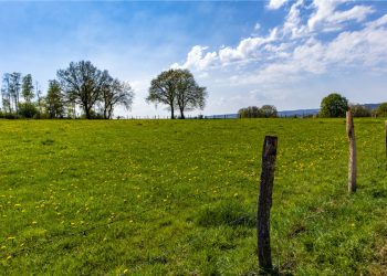 Important Questions that an Investor Should Ask Before Buying Vacant land