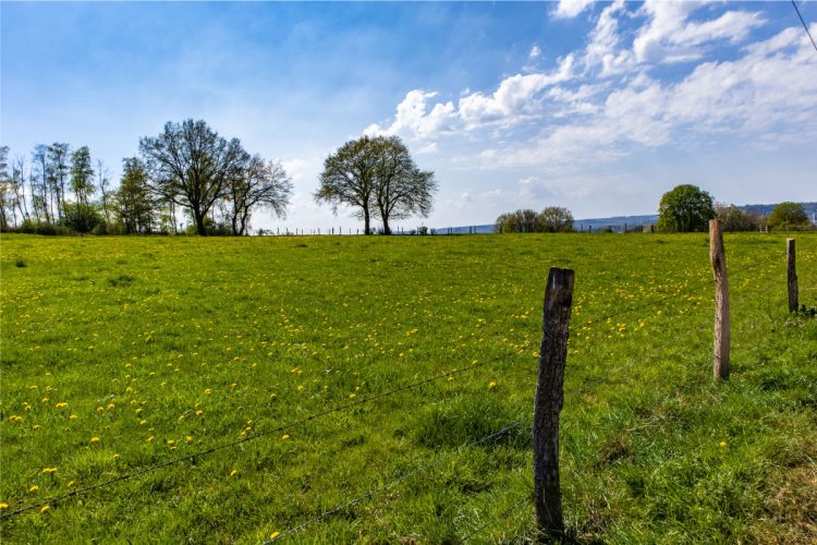Important Questions that an Investor Should Ask Before Buying Vacant land