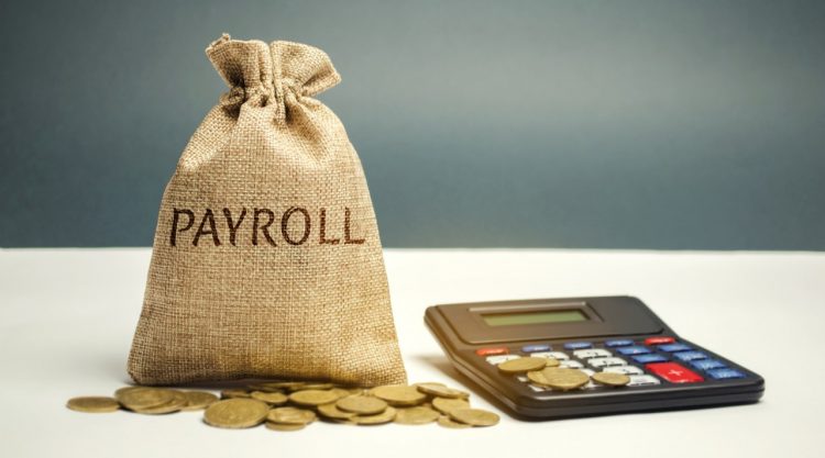 What Is Payroll and HR Systems?