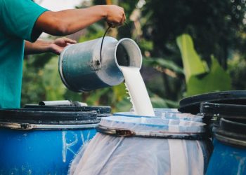 Selling organic milk vs selling regular milk 