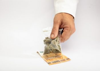 5 Creative Ways to Mask the Bitter Taste of Kratom and Maximize its Benefits