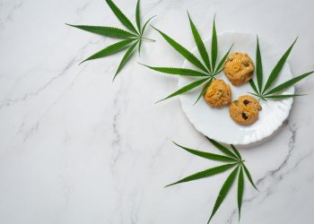 How You Can Benefit From Pure CBD Gummies 