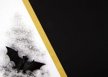 Busting the Myth: The Truth About Bat Attacks on Humans