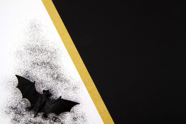 Busting the Myth: The Truth About Bat Attacks on Humans