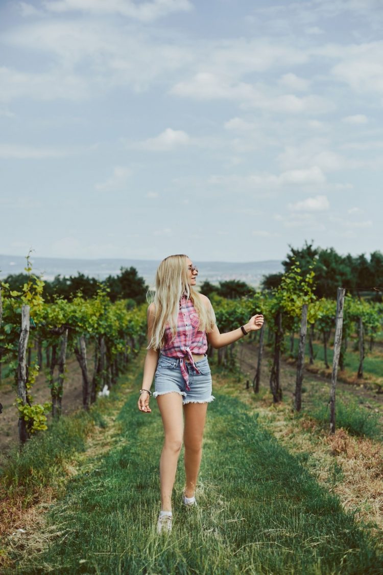 Vineyard Adventures: Discovering the Hidden Gems of Central Virginia’s Wine Scene