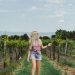 Vineyard Adventures: Discovering the Hidden Gems of Central Virginia’s Wine Scene
