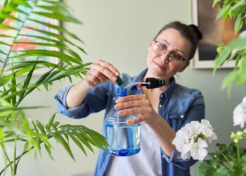 The Top Features to Consider When Buying a Vaporizer for Dry Herbs