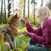 CBD for Dogs