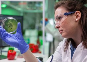 A CLOSER LOOK AT ORGAN-ON-CHIPS: THE FUTURE OF BIOMEDICINE SCIENCE