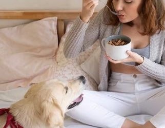 Yoghurt Drops: Are They Beneficial for Dogs?