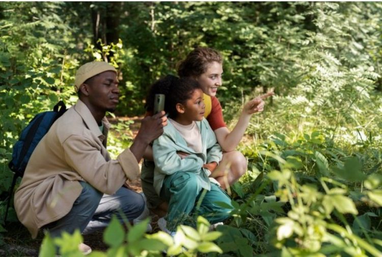 Discovering Bloomfield, NJ: A Haven for Quality Living and Expert Construction