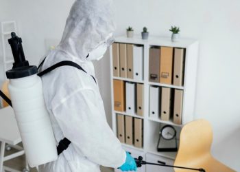 “Inspecting for Mold: A Comprehensive Guide to Identifying and Addressing Indoor Mold Issues”