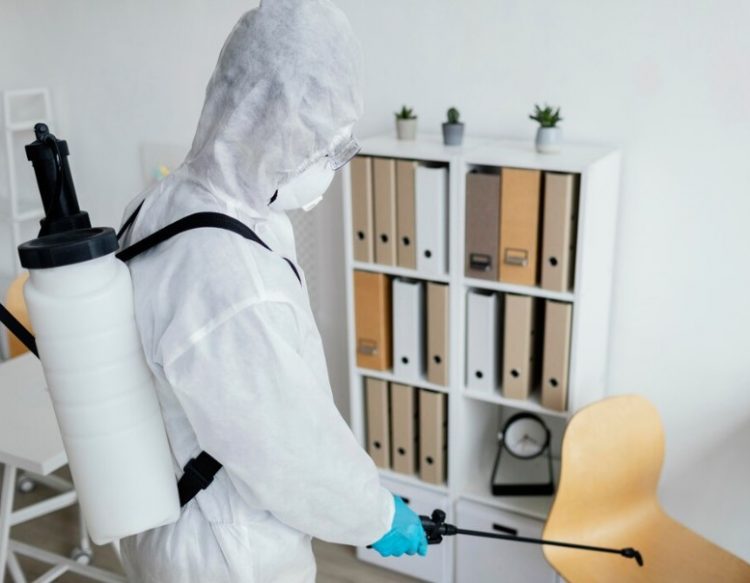 “Inspecting for Mold: A Comprehensive Guide to Identifying and Addressing Indoor Mold Issues”