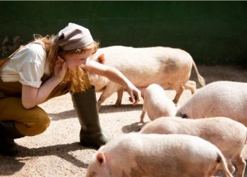 The Enigmatic Charm of Pig Latin: A Playful Linguistic Diversion
