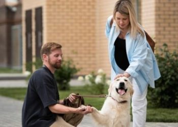 Ways To Tell If Your Dog is Hurting