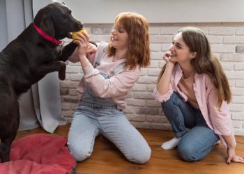 Wag Your Tail, Not Your Wallet: Finding the Best Pet Insurance