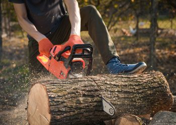 DIY Tree Removal vs. Professional Services: Pros and Cons