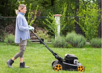 Transform Your Space with Perth Artificial Grass: A Guide to Perfect Artificial Lawns and Turf