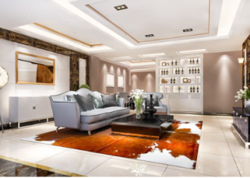 Room and Home Remodel