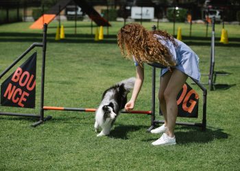 Unleashing Happiness: The Transformative Power of Hiring a Dog Trainer