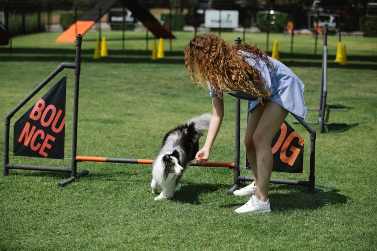 Unleashing Happiness: The Transformative Power of Hiring a Dog Trainer