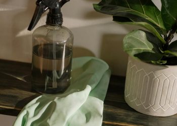 Urban Environmental Management: the Importance of Commerial Cleaners in City Scenery.