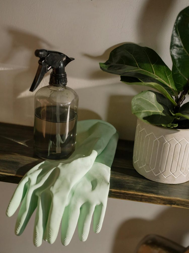 Urban Environmental Management: the Importance of Commerial Cleaners in City Scenery.