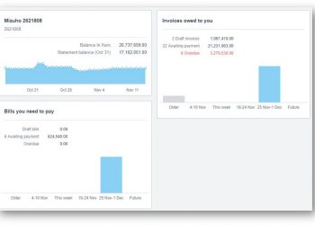 Navigating Japan’s Business Terrain: The Crucial Role of Specialized Accounting and Tax Support