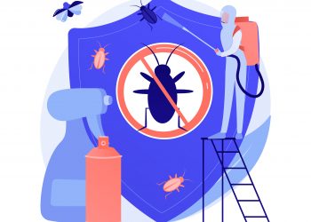 Keeping Oxford’s Charm Pest-Free: The Local Advantage in Pest Control