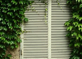 Maintaining Your Plantation Shutters: Easy Care Tips for Long-lasting Beauty