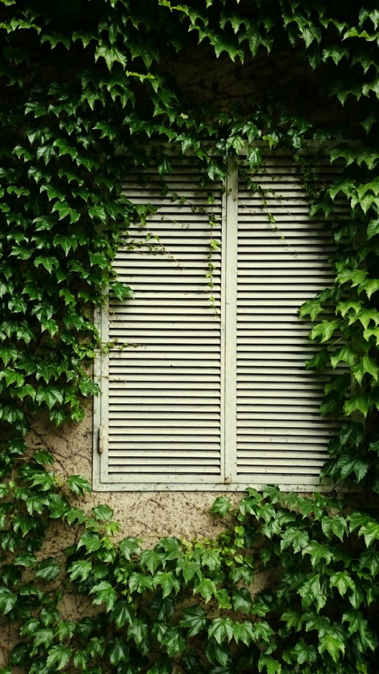 Maintaining Your Plantation Shutters: Easy Care Tips for Long-lasting Beauty