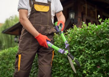 Rooted in Glenmoore: The Value of Local Landscapers