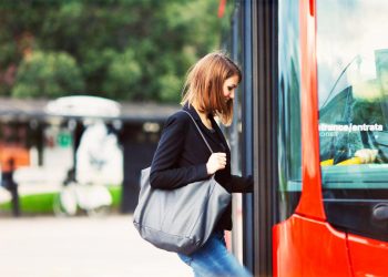 Shuttle Bus Travelers’ Insider Tips for Navigating Port Douglas