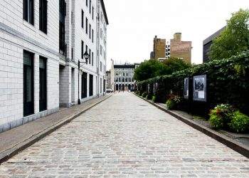 The Importance of Choosing Paving Contractors: Expertise, Quality, and Peace of Mind