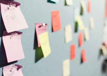 Demystifying Strategic Portfolio Management (SPM) and Project Portfolio Management (PPM) from the PMO Leader’s Perspective