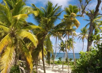 Island Escape: Invest in the Caribbean Lifestyle