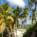 Island Escape: Invest in the Caribbean Lifestyle