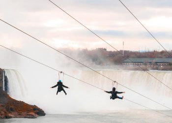 Understanding Zipline and Adventure Park Booking Software