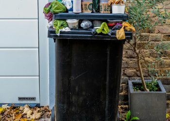 How Waste Management Companies Can Optimise Your Operations