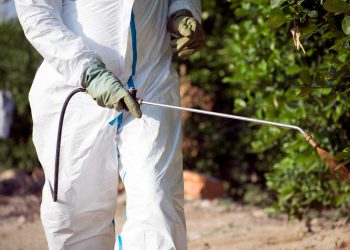 Seasonal Pest Control Tips for Huntsville Residents: What to Watch for Year-Round