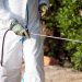 Seasonal Pest Control Tips for Huntsville Residents: What to Watch for Year-Round