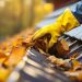 Comprehensive Guide to Gutter Cleaning Service: Techniques and Benefits