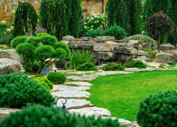 Embracing Organic Lawn Care: Natural Solutions for Fertilizing and Weed Control
