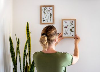 Mastering the Art of Picture Hanging: Tips and Tricks for Melbourne Homes