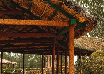 Unique Experiences in Coorg: Off the Beaten Path Adventures