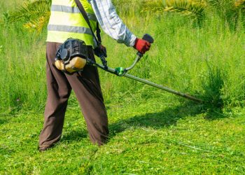 Starting a Lawn Mowing Business: Key Factors for Success