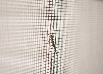 The Ultimate Guide to Fly Screens and Insect Nets: Keeping Your Home Pest-Free and Comfortable