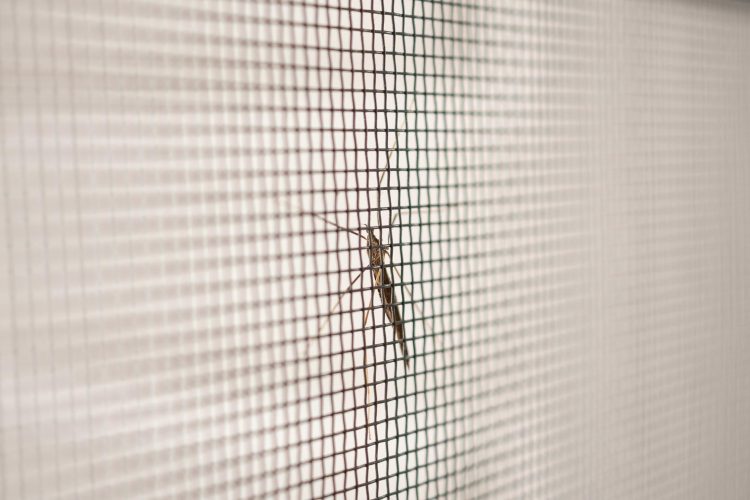 The Ultimate Guide to Fly Screens and Insect Nets: Keeping Your Home Pest-Free and Comfortable