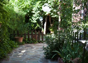 Landscape Design Ideas to Revamp Your Outdoor Living Area