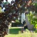 Why Are Wind Chimes Given at Funerals?